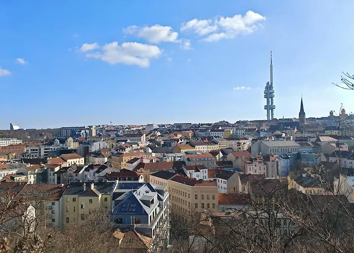 Flat In Zizkov -302-