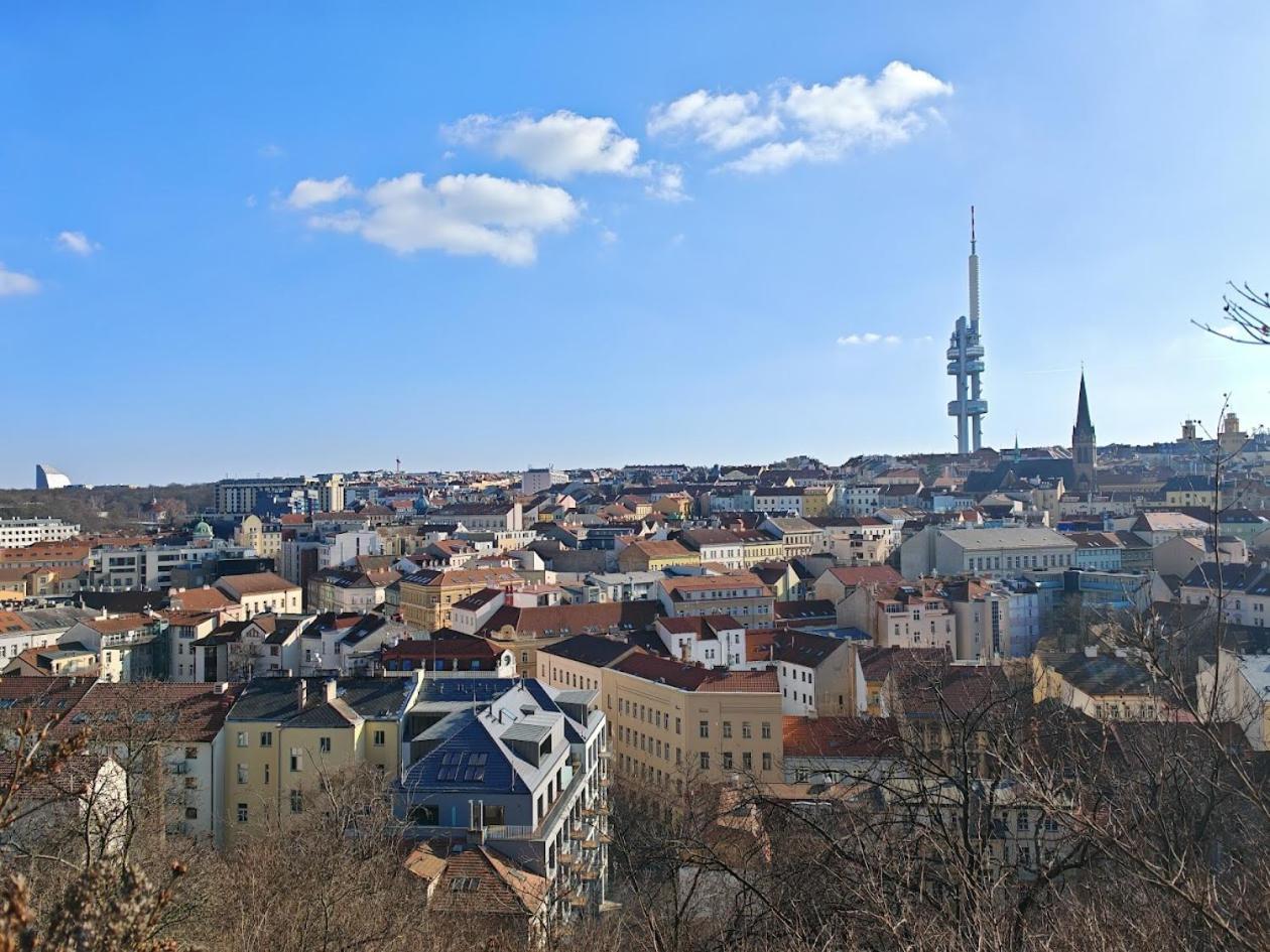 Appartement Flat In Zizkov -302- Prague